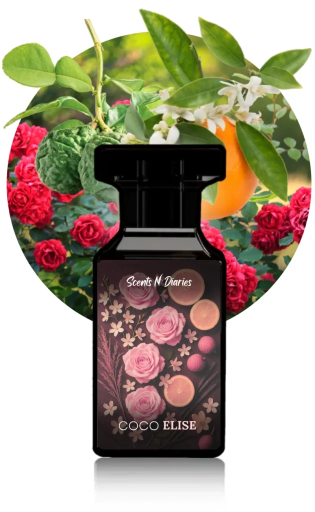 coco elise perfume for women